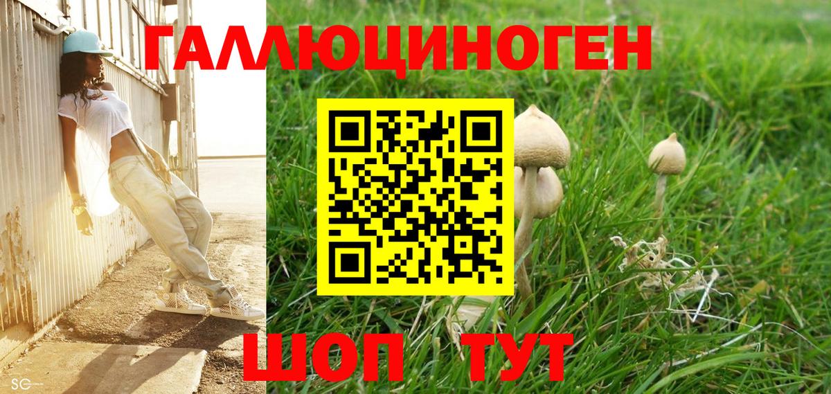 Рассказово  Псилоцибиновые грибы Psilocybe  Вход с VPN 