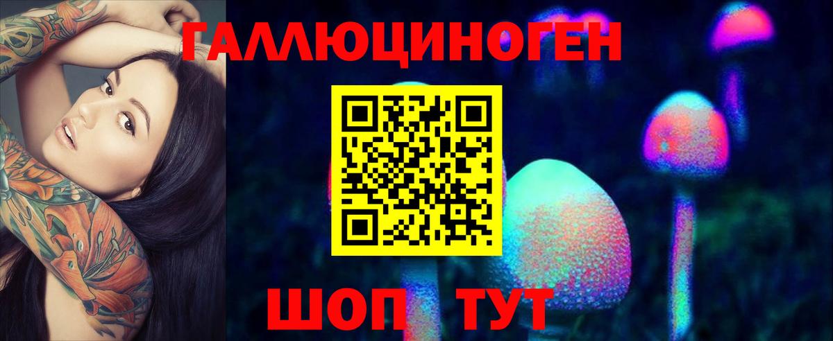 Галлюциногенные грибы Psilocybe Рассказово